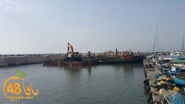 mina2 tandeefat3 (5).jpg